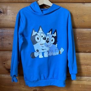 Kids Bluey lightweight pullover hoodie featuring Socks and Muffin, size small
